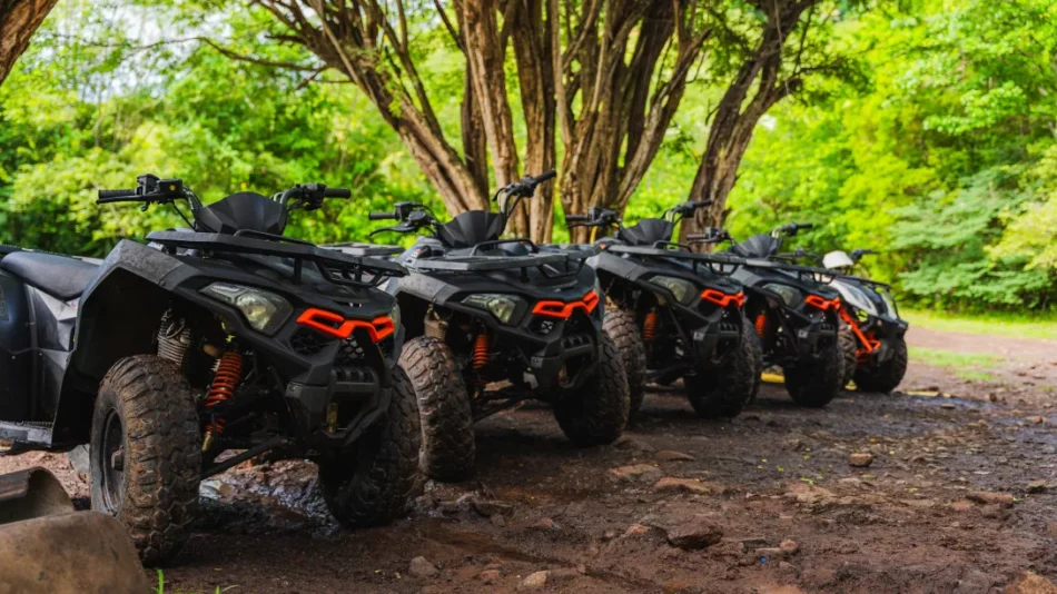 Randonnée quad en nature